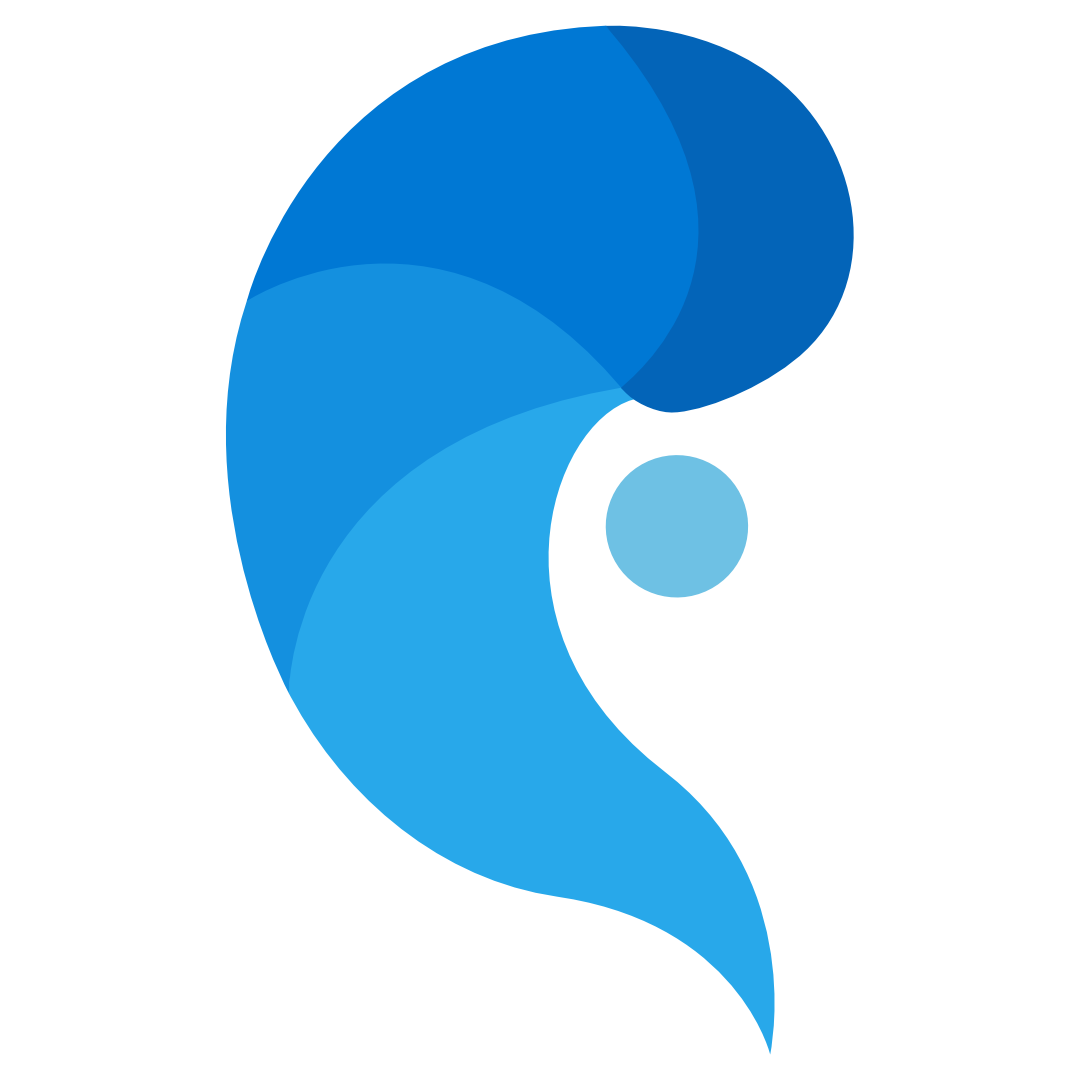 Naudilus Logo - Affordable Web Design Subscription Service